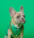 Green_edited.jpg