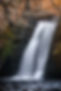 edson-junior-Y_fmRDBv4HY-unsplash_edited.jpg
