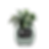 Design sans titre - 2025-03-24T152148.877.png