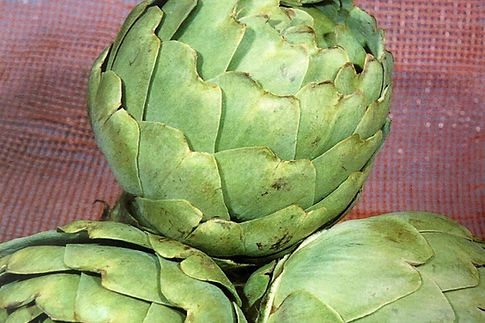 Artichoke Exotic Vegetable Seeds | AKT Biotech