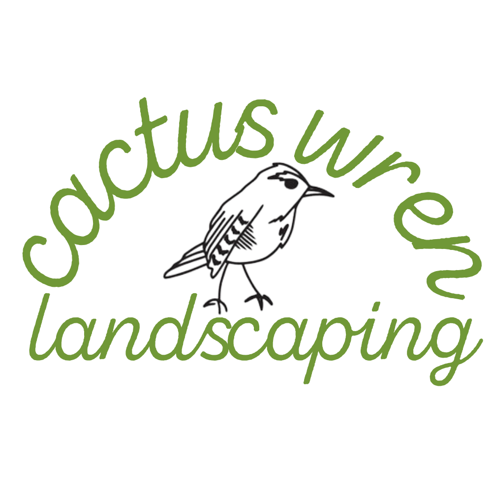 Cactus Wren Landscaping irrigation