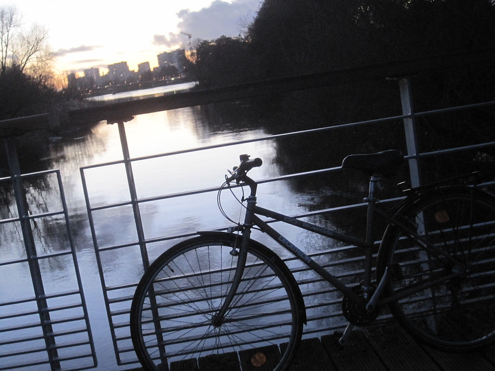 Vélo sur la Loire