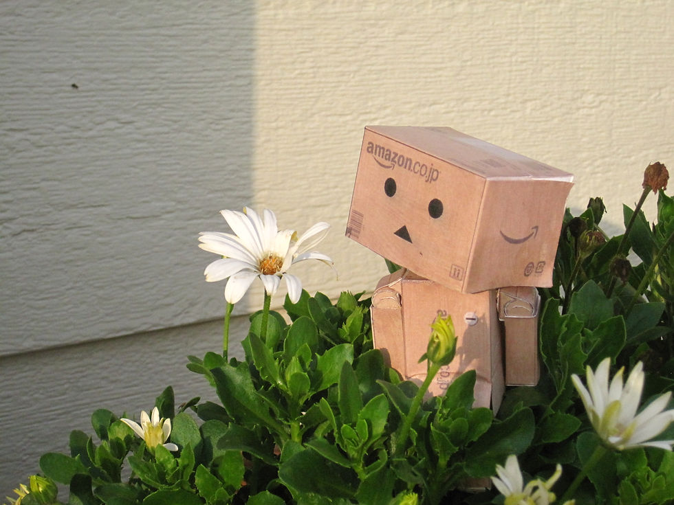 Danbo