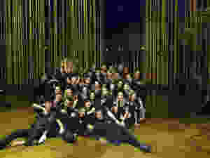 Equipe de Usher Varekai Brasil 2011