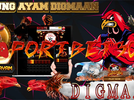 PORTBET303 ᐈ SABUNG AYAM DIGMAAN SEDANG TERPOPULER TAHUN INI