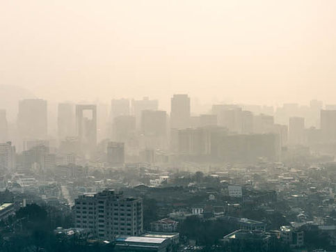 Why COVID-19 Does Not Solve The Climate Crisis