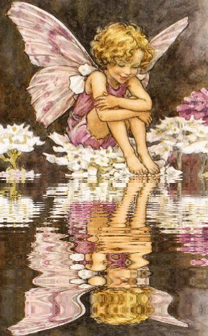 fairy_orig.gif