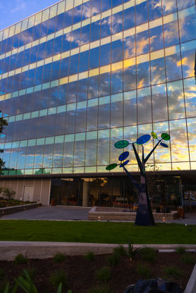 W.A.B.O.
Austin TX
Public Art
Kinetic Art
Zilker Point
Lady Bird Lake