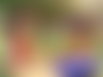 Anthroposophic Education: Whole Education #1