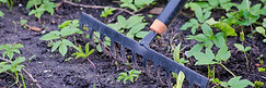 Rake