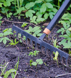 Rake