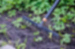Gardening with Rake