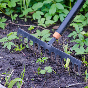 Spring gardening at Swell View