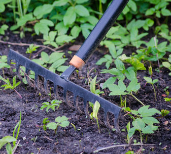 Rake