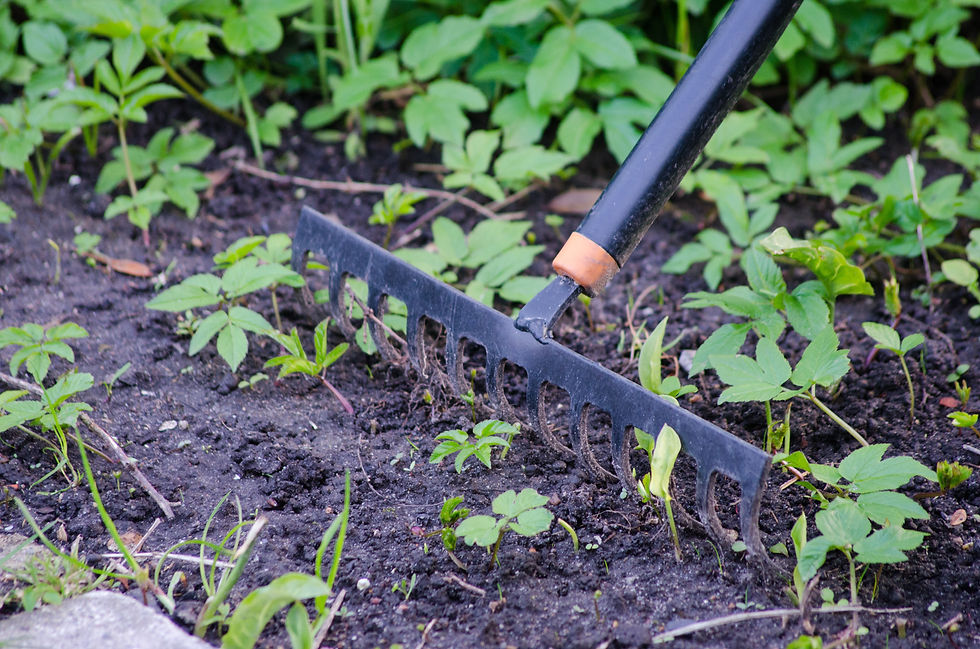 Rake