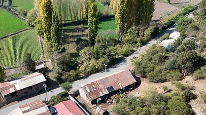 Terreno Agricola 1.jpg