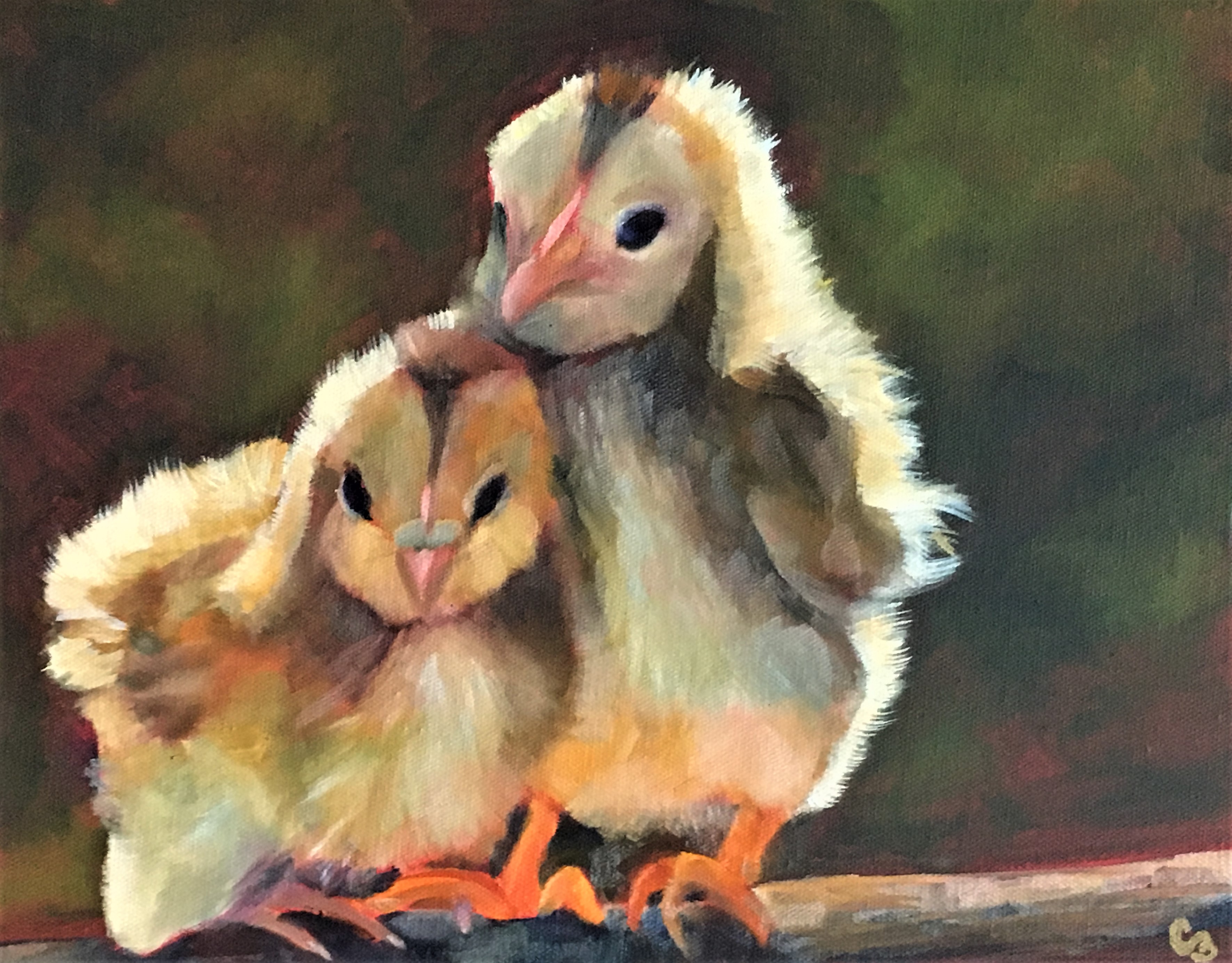 'Chicks Lit'
