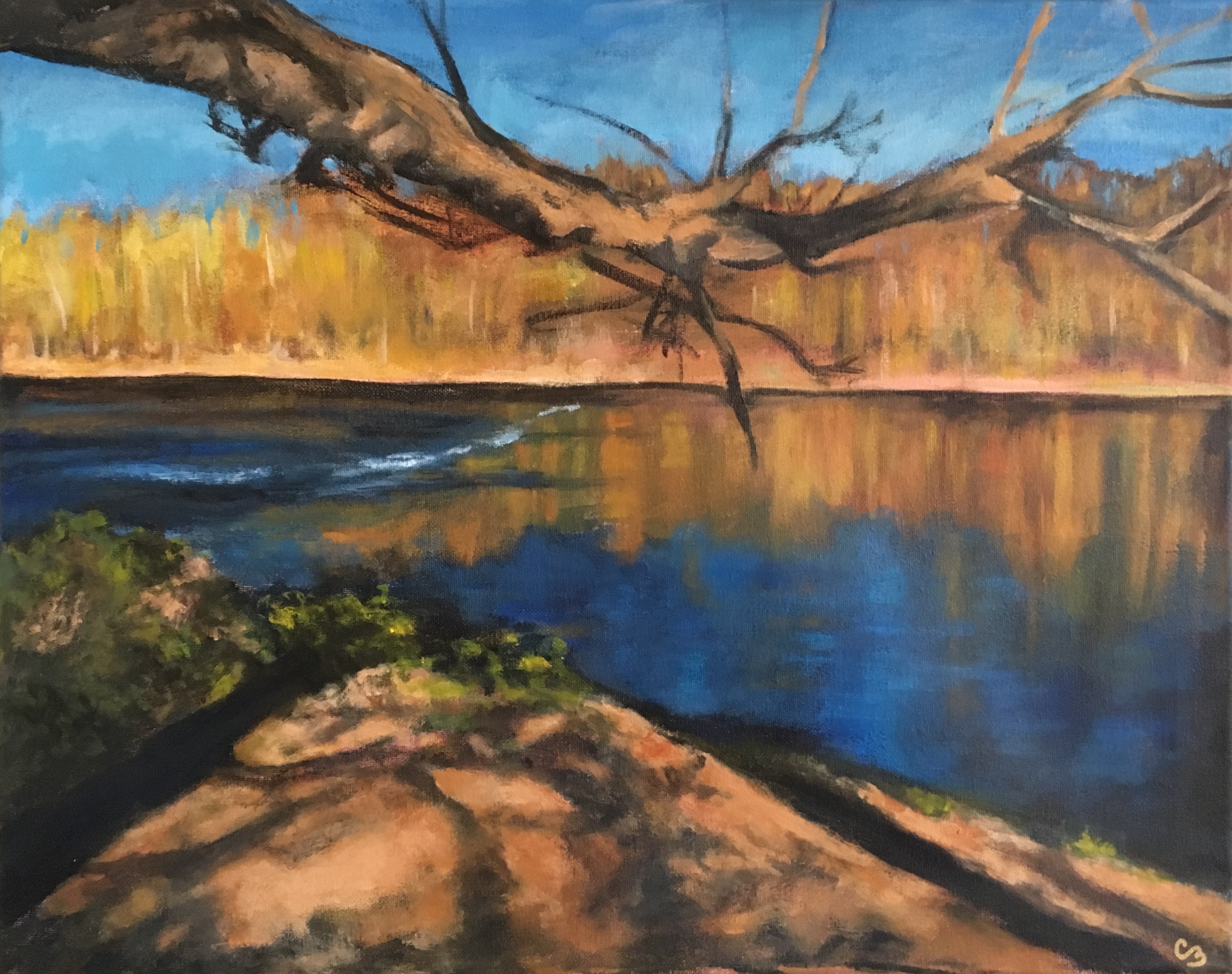 'French Broad Fall'