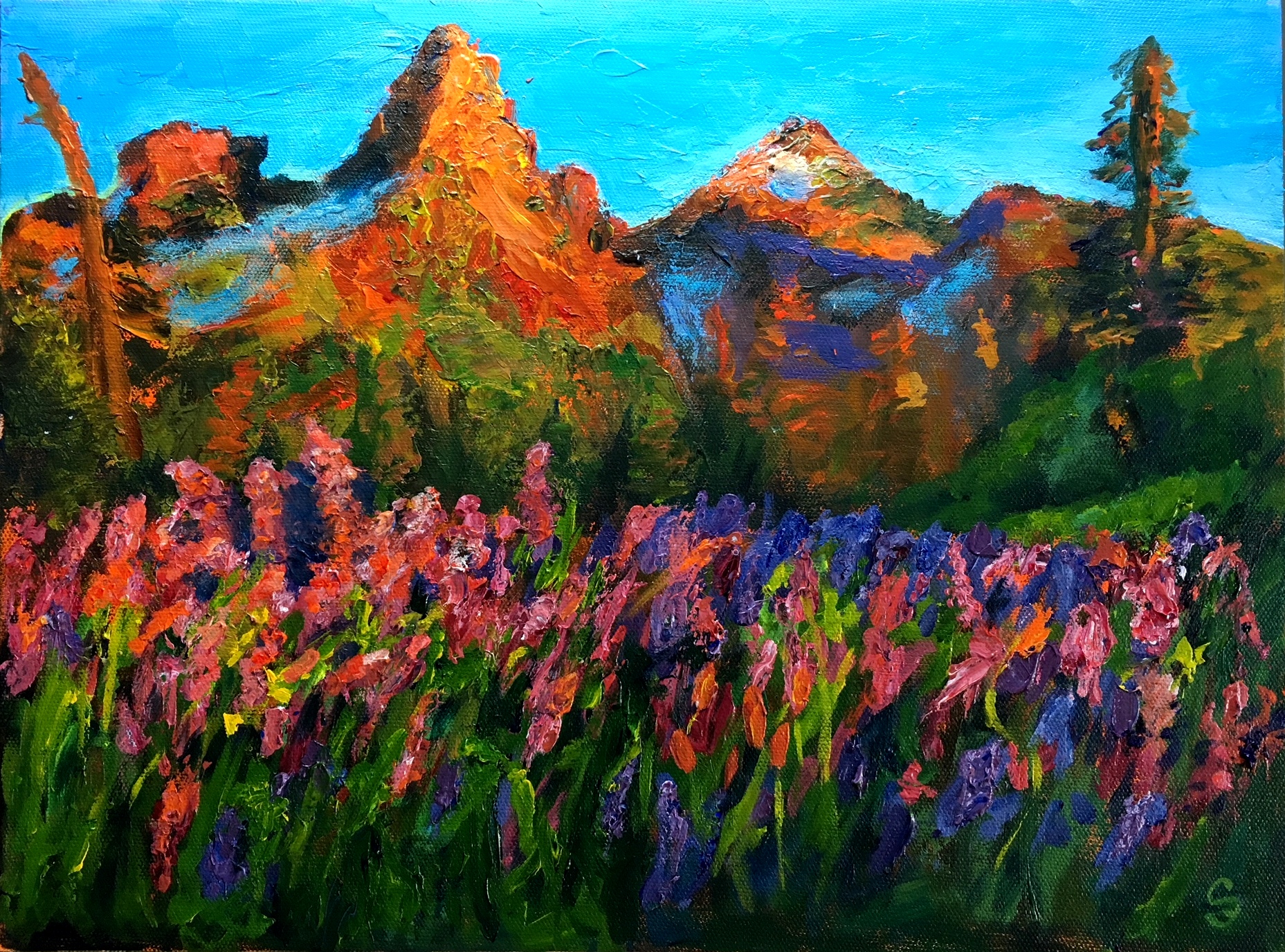 'Jubilation'