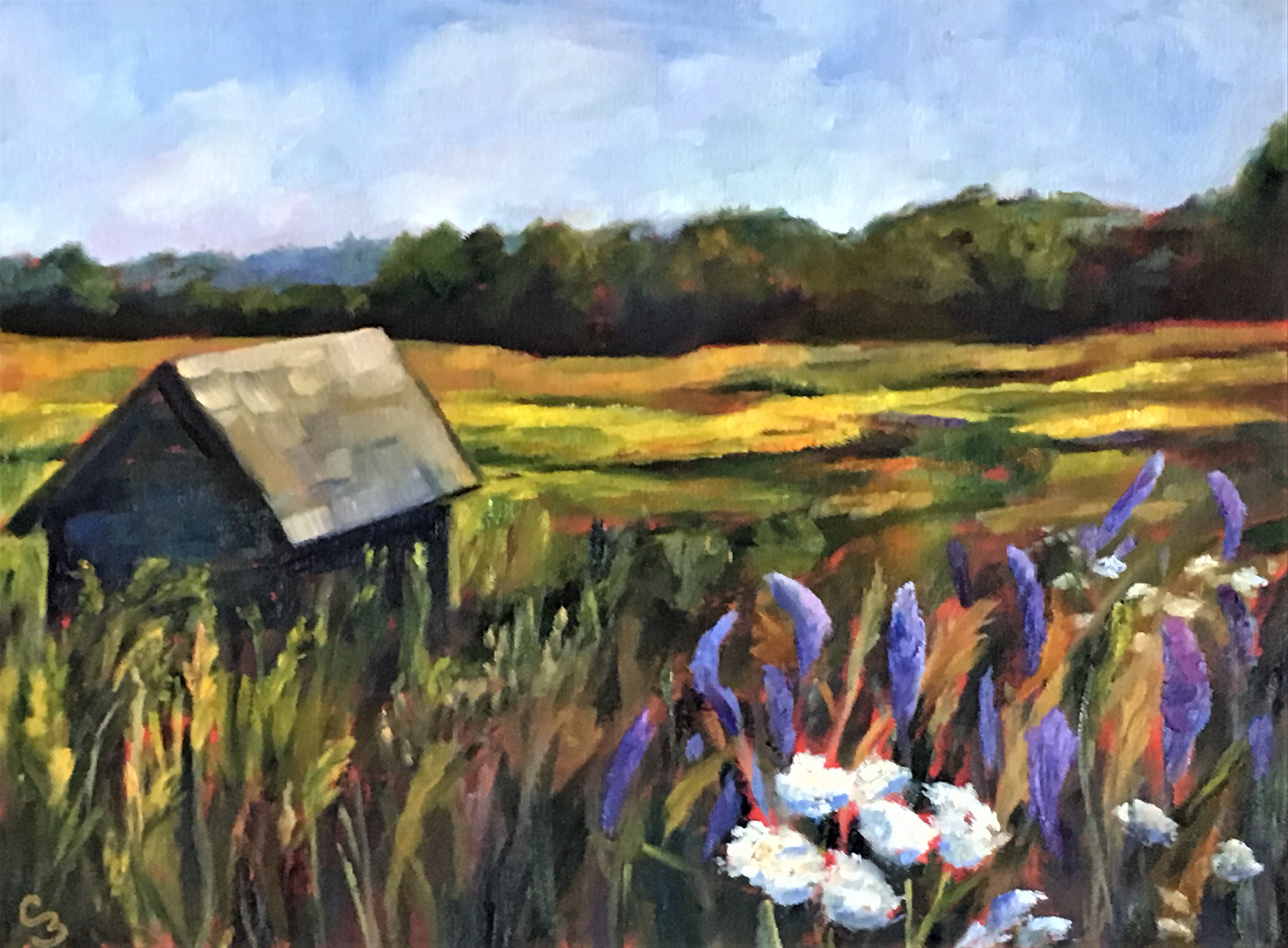 'Summer Fields'
