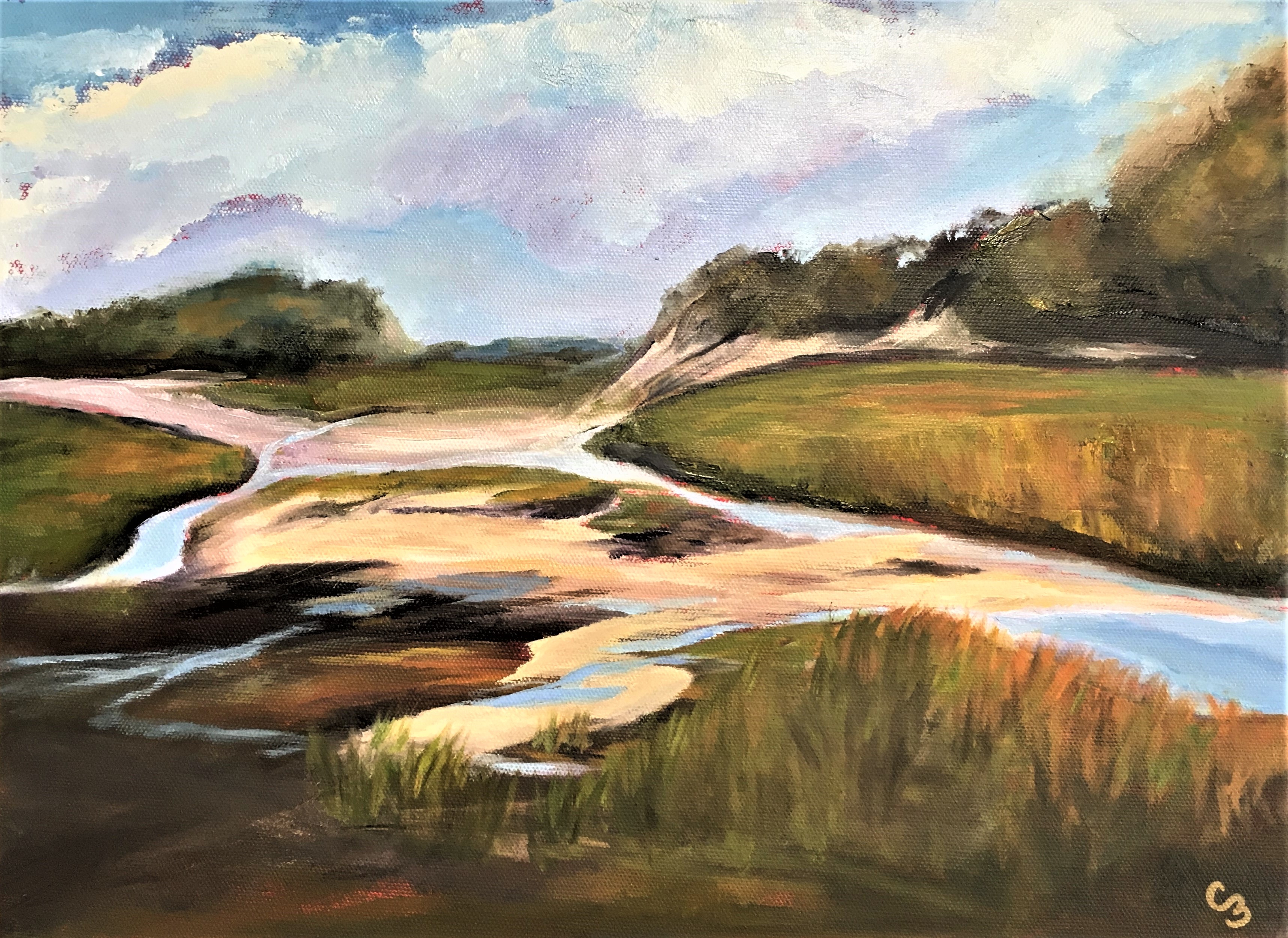 'Salt Marsh Serenity'