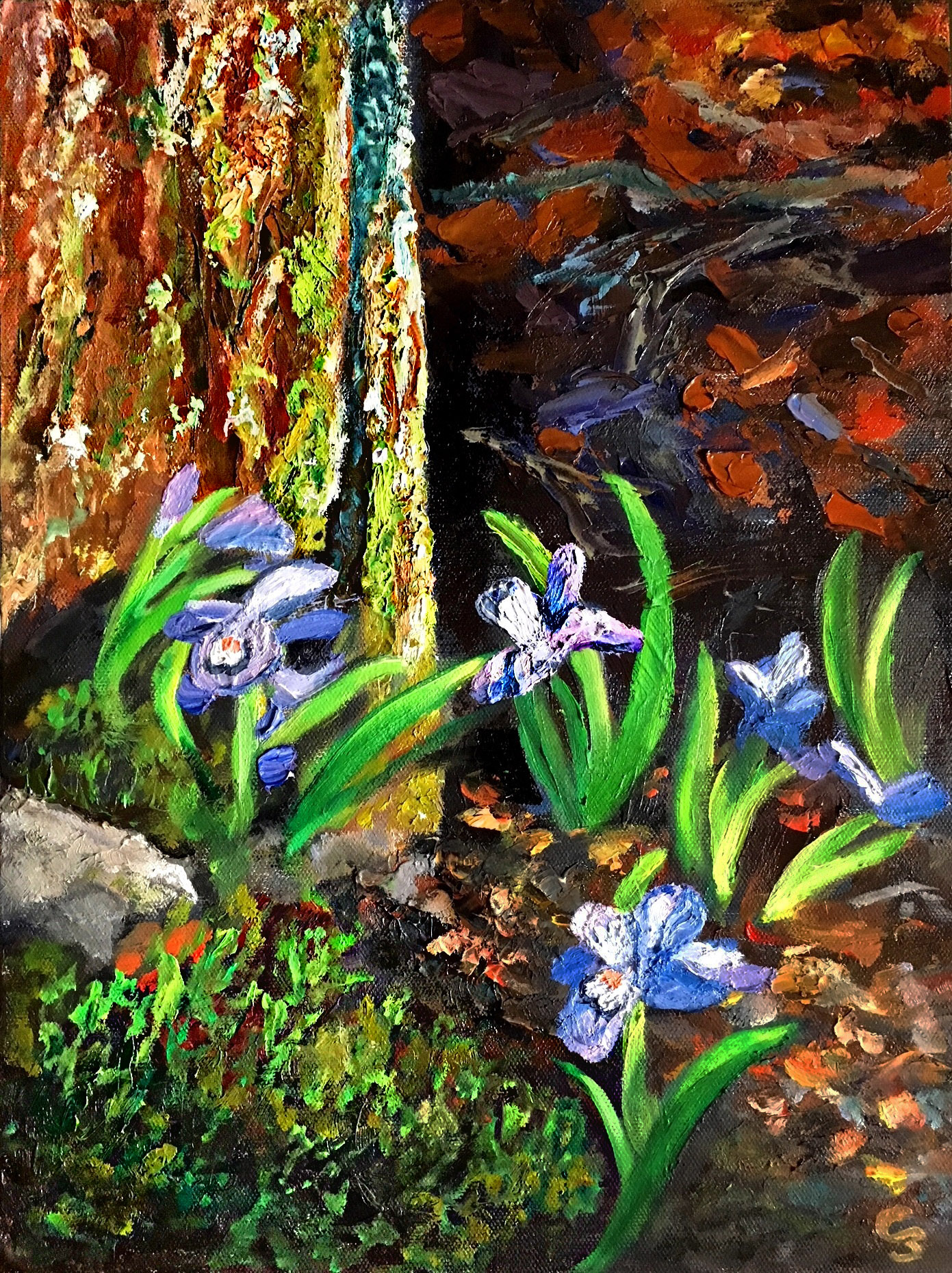 'Luck of the Iris'