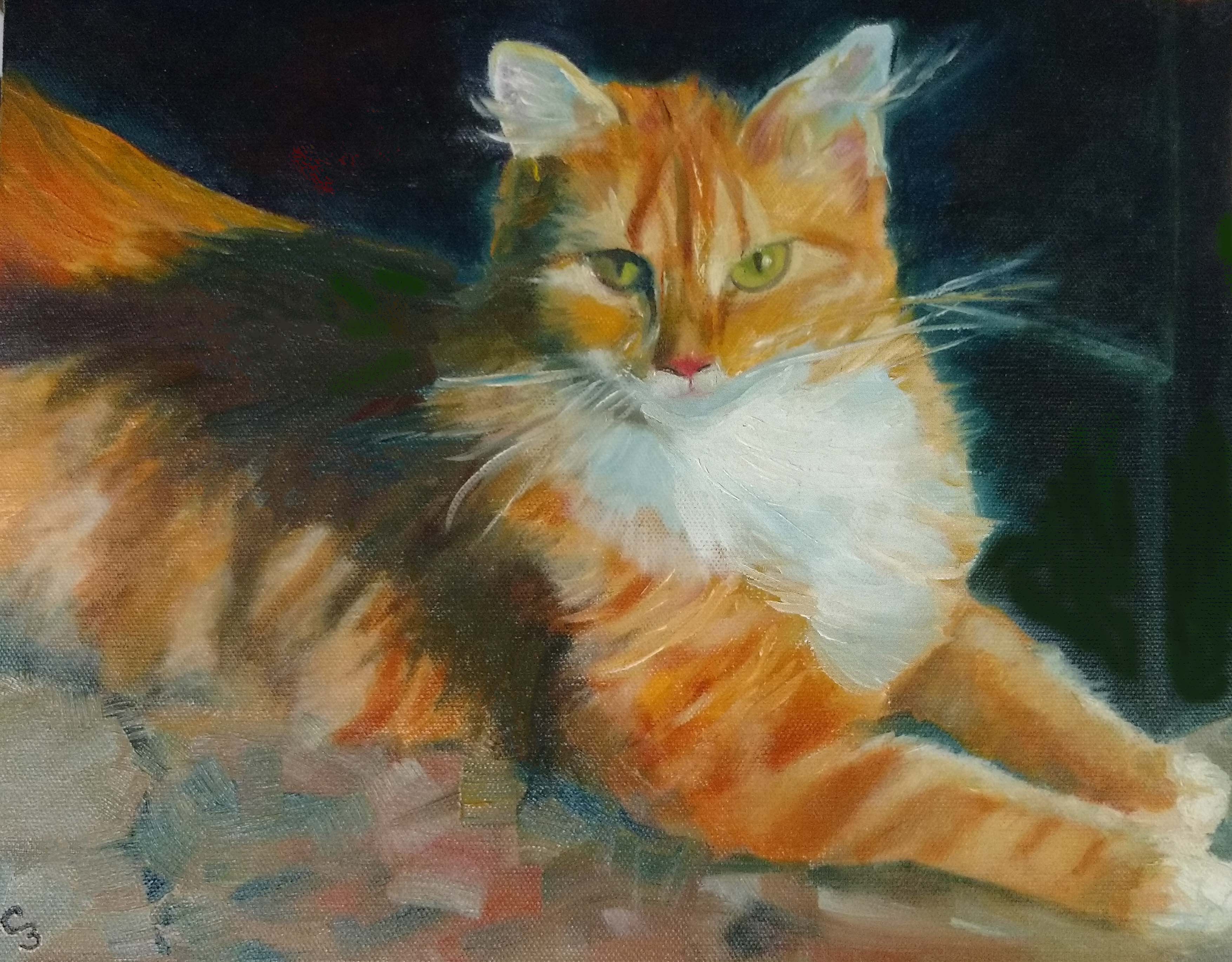'Sunshine Girl'