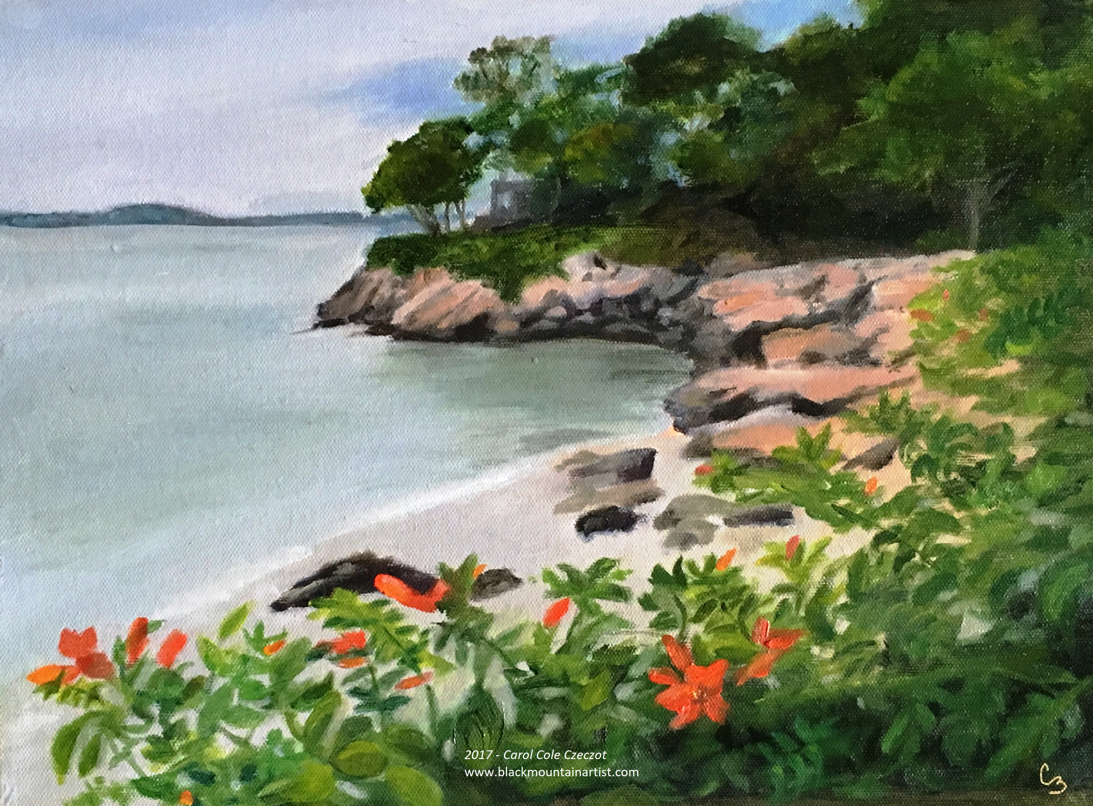 'Cape Ann Cove'
