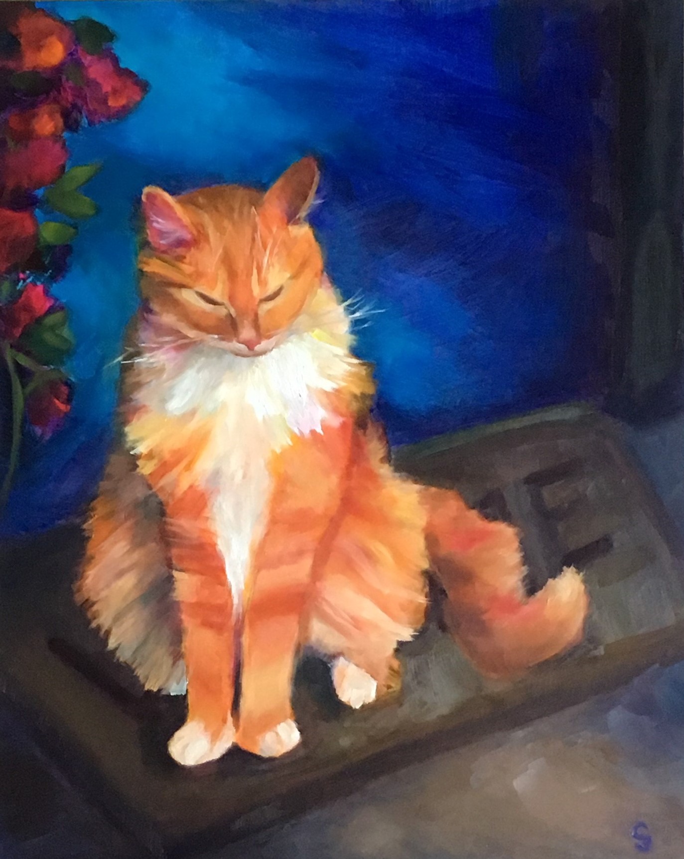 'Whisker-Warming'