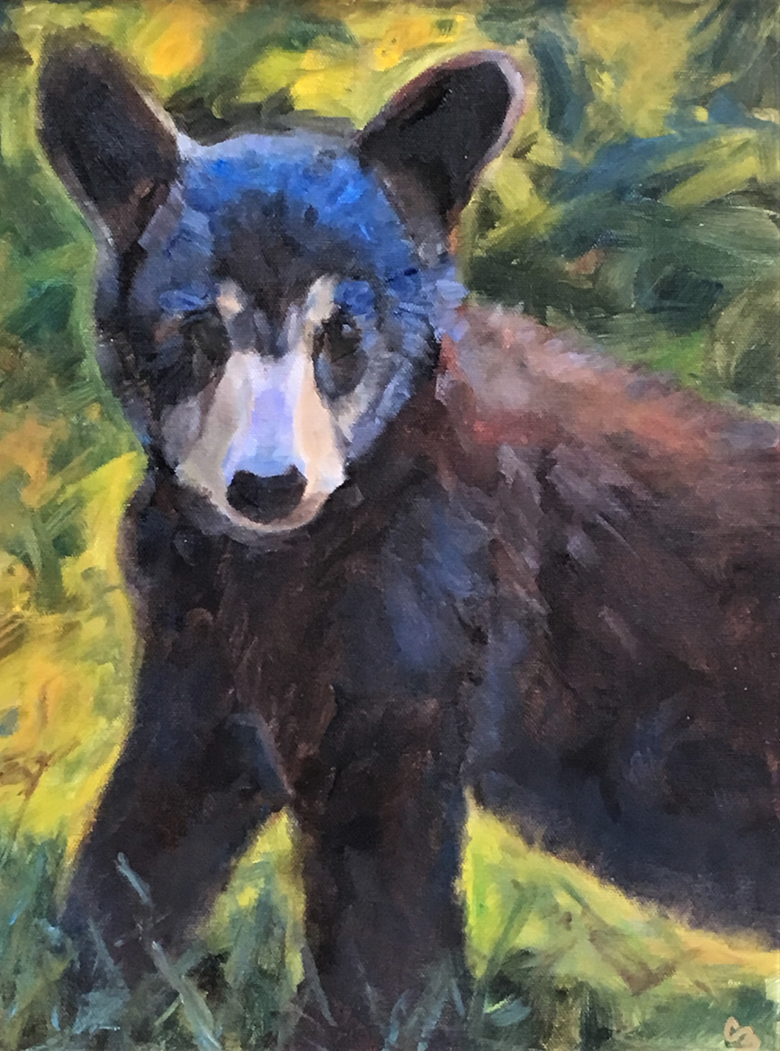 'Cub Scout'