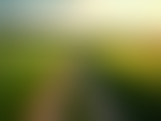 Master the Countryside Code for Responsible Visits