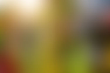 Summer Dance Social at Tanglewood Park on September 8