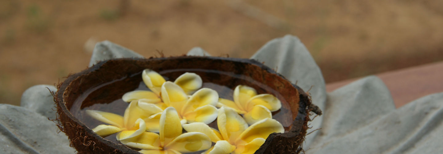 Ayurveda Sri Lanka Hotel