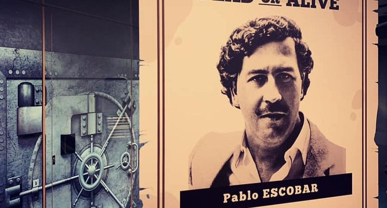 VITROPHANIE + DÉCO INTÉRIEUR - La Banque du CBD