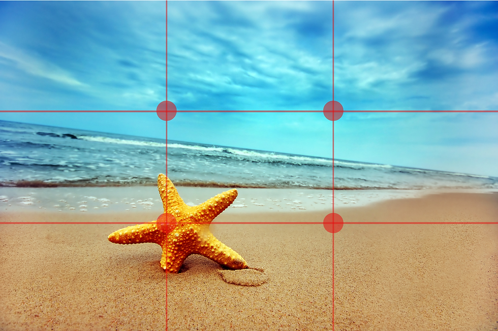 Top 20 bố cục trong nhiếp ảnh mà bạn nên biết