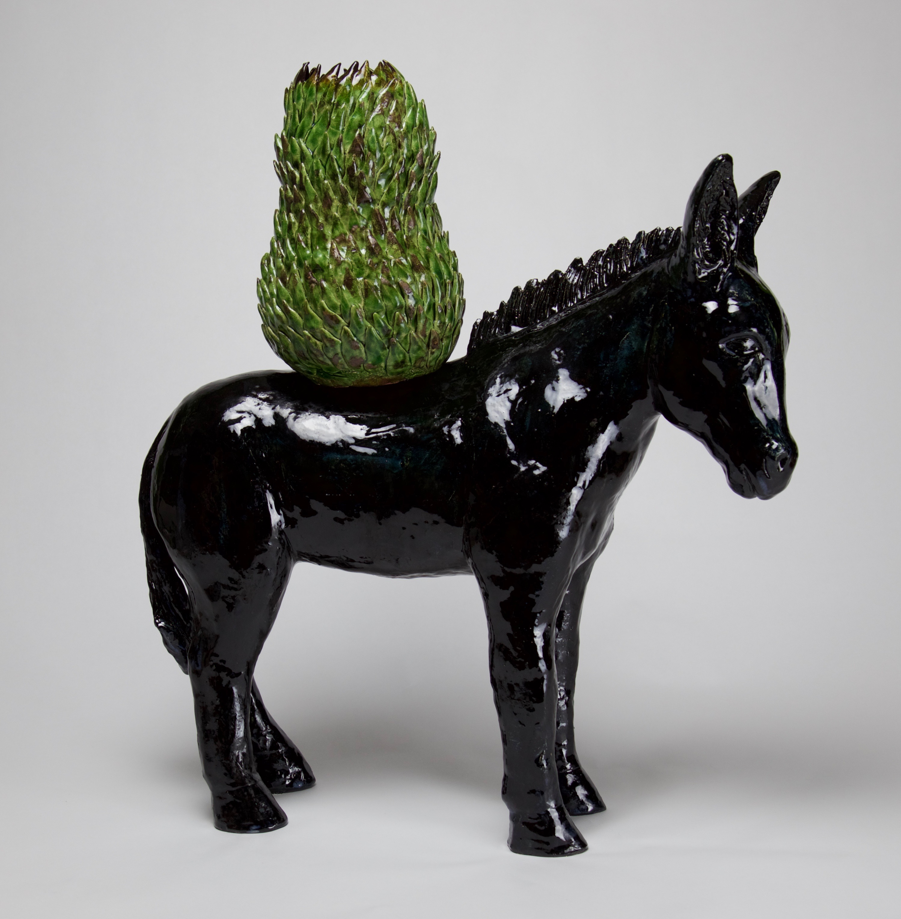 Benevolent Burro