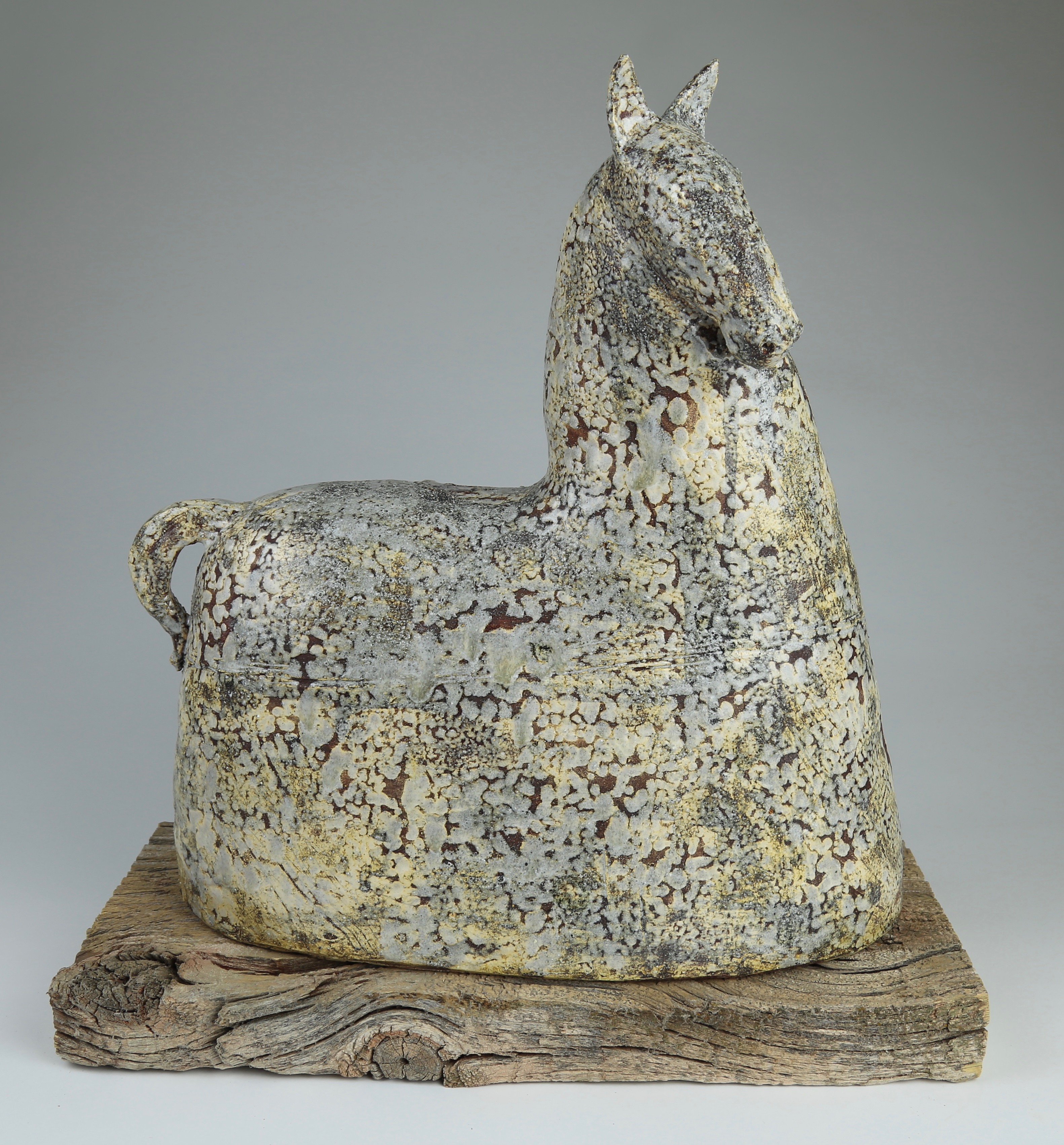 Moller Somsen,Equine