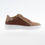 Miniaturbild: BTC Glory Brown Damen