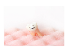 奥歯の欠損は、『親知らずの移植』で
もとにもどします。