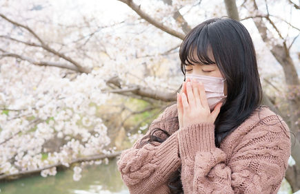 くしゃみ・鼻水・鼻づまり
を抑える予防薬
