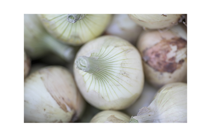 地元産の食材へのこだわり