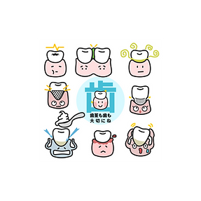 歯は予防が一