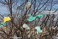 GettyImages-1209223832-1024x683.jpg