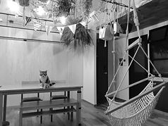 IMG_2302.jpeg