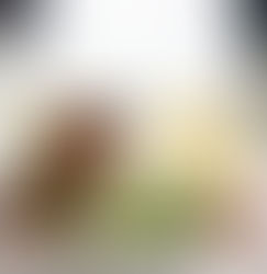 【活動報告】2025.09.24 ふらっとカフェinソンべカフェ