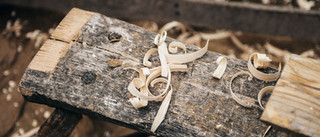 Paragon furniture restoration deals