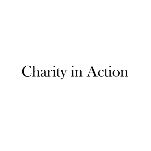 Charity in Action words.png