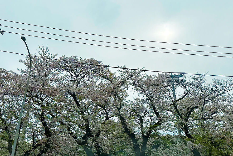 居合道五段以下審査会