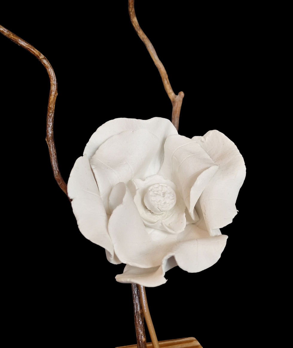 Miniature : Fleur blanche