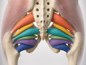 Hip Rotation and Exercises